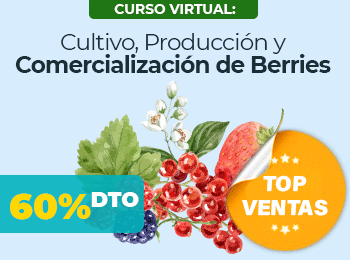 Cultivo, Producción y Comercialización de Berries